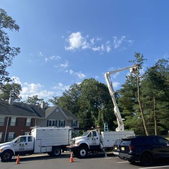 AG Landscaping Maintenance Services - Tree Services Near Me - Ewing Township, New Jersey AG Landscaping Maintenance Services - Tree Services Near Me - Ewing Township, New Jersey