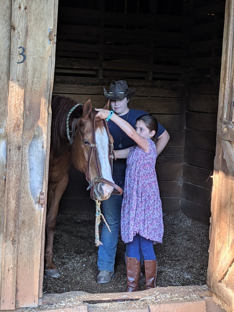Bramblewood Stables - equestrian in Taylors, SC
