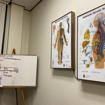 Hernandez Chiropractic - Information regarding areas of nerves and how it connects to our body. - Chiropractors Near Me - San Marcos, California