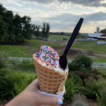 Moomers - Soft serve swirl in a homemade waffle cone - Ice Cream & Frozen Yogurt Near Me - Traverse City, Michigan