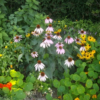 Staudenhof Koch - Nurseries & Gardening Near Me - Iserlohn, NW Staudenhof Koch - Nurseries & Gardening Near Me - Iserlohn, NW