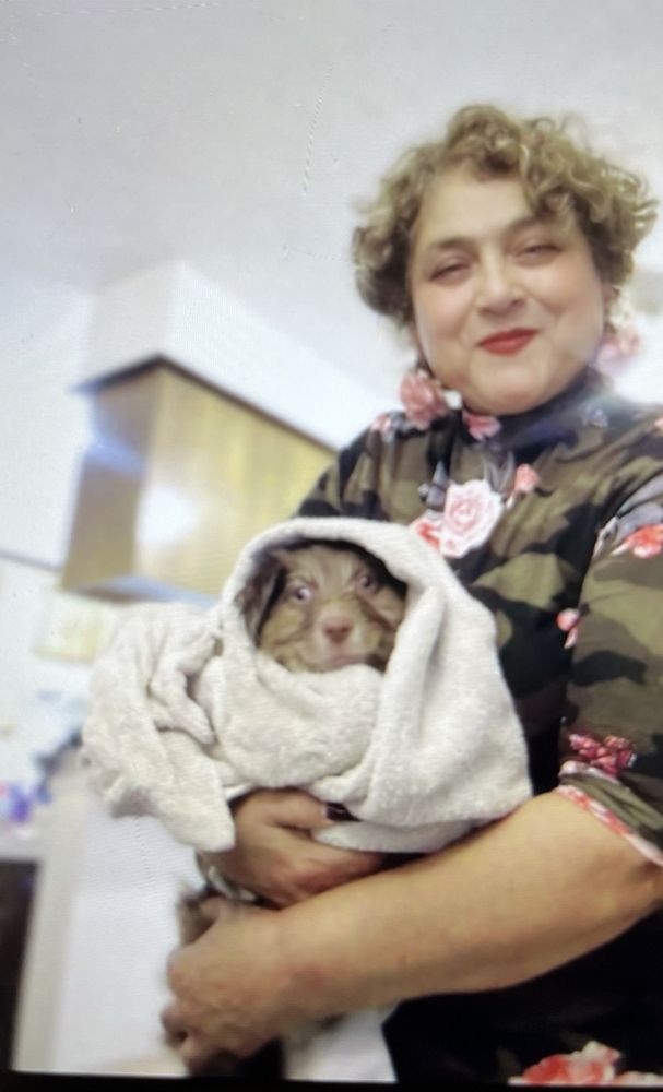 Charming Pet Rescue Image