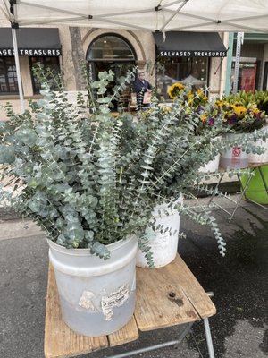 The Riverside Downtown Farmers Market by null