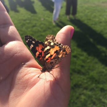 The Elizabeth Hospice - Releasing a butterfly in memory of my father at the Wings of Hope event. - Hospice Near Me - Escondido, California The Elizabeth Hospice - Releasing a butterfly in memory of my father at the Wings of Hope event. - Hospice Near Me - Escondido, California