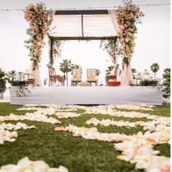 Dharma Events