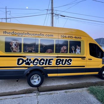 Doggie Bus - The Doggie Bus waiting to leave in front of my house - Pet Transportation Near Me Doggie Bus - The Doggie Bus waiting to leave in front of my house - Pet Transportation Near Me