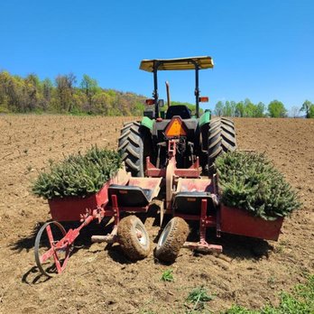 Showers Tree Farm - Christmas Trees Near Me - Aspers, Pennsylvania Showers Tree Farm - Christmas Trees Near Me - Aspers, Pennsylvania