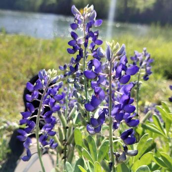 Beason's Crossing Park - Parks Near Me - Columbus, Texas