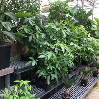 Atlantic Gardening Company - Greenhouse - Nurseries & Gardening Near Me - Raleigh, North Carolina
