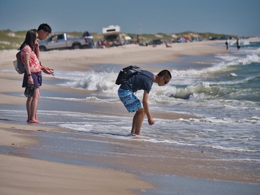 Island Beach State Park by null