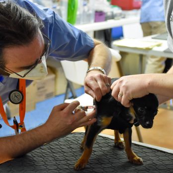 Remedy Pet Care - Veterinarians Near Me - Gainesville, Florida Remedy Pet Care - Veterinarians Near Me - Gainesville, Florida