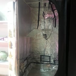 Dinafem Store - Aparato para crecer plantas.