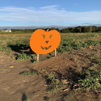 Stakey’s Pumpkin Farm - Pumpkin Patches Near Me - Riverhead, New York Stakey’s Pumpkin Farm - Pumpkin Patches Near Me - Riverhead, New York
