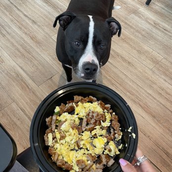 Waffles INCaffeinated - Breakfast & Brunch Near Me - Pittsburgh, Pennsylvania