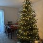 Photo of Capaul's Christmas Tree Farm