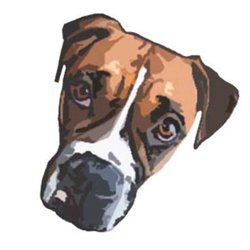 Mountain Dog Spa & Boutique