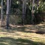 Photo of Palm Bay Fence