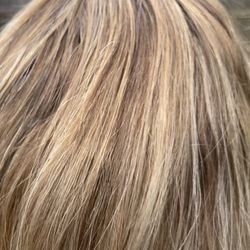 Blue Moon Salon - From the back