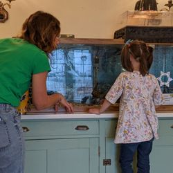 North River Wildlife Sanctuary - Camp director talking with my daughter about turtles