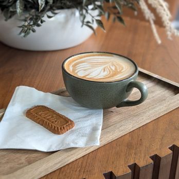 The Perfect Press Coffee - Coffee & Tea Near Me - Tampa, Florida The Perfect Press Coffee - Coffee & Tea Near Me - Tampa, Florida