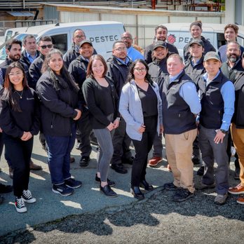 Pestec - Pestec Team - Pest Control Near Me - Antioch, California Pestec - Pestec Team - Pest Control Near Me - Antioch, California