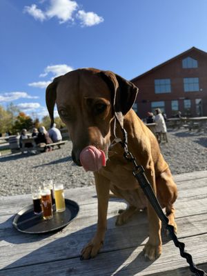 von Trapp Brewing & Bierhall by null