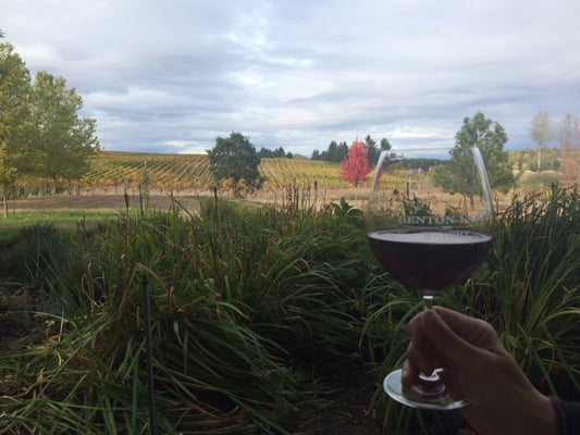 Benton-Lane Winery by null