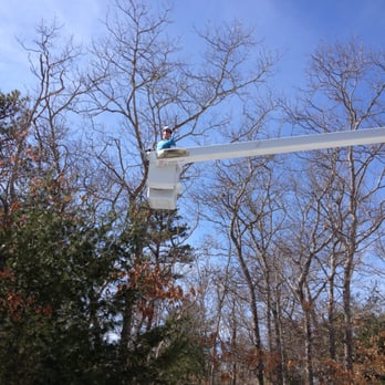 Beach Point Tree Service - Tree Services Near Me - Forestdale, Massachusetts