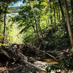 Bridges To The Past - Nature reclaims the past...