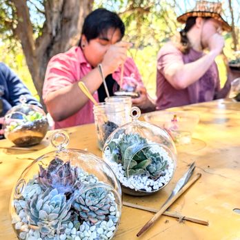 Flourish Workshops - An outdoor workshop in Santa Cruz - Art Classes Near Me Flourish Workshops - An outdoor workshop in Santa Cruz - Art Classes Near Me