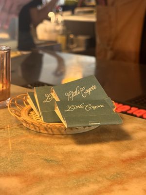 Little Coyote by null