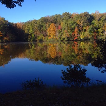 Bear Creek Lake State Park - View from our campsite! - Parks Near Me - Cumberland, Virginia Bear Creek Lake State Park - View from our campsite! - Parks Near Me - Cumberland, Virginia