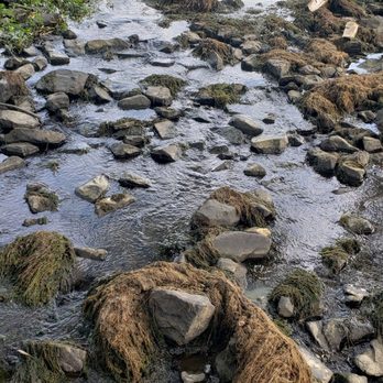 Lake Kittamaqundi - Feeder creek, very low water. - Lakes Near Me