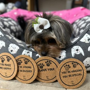 Ily Pet Grooming - Pet Groomers Near Me - Pompano Beach, Florida