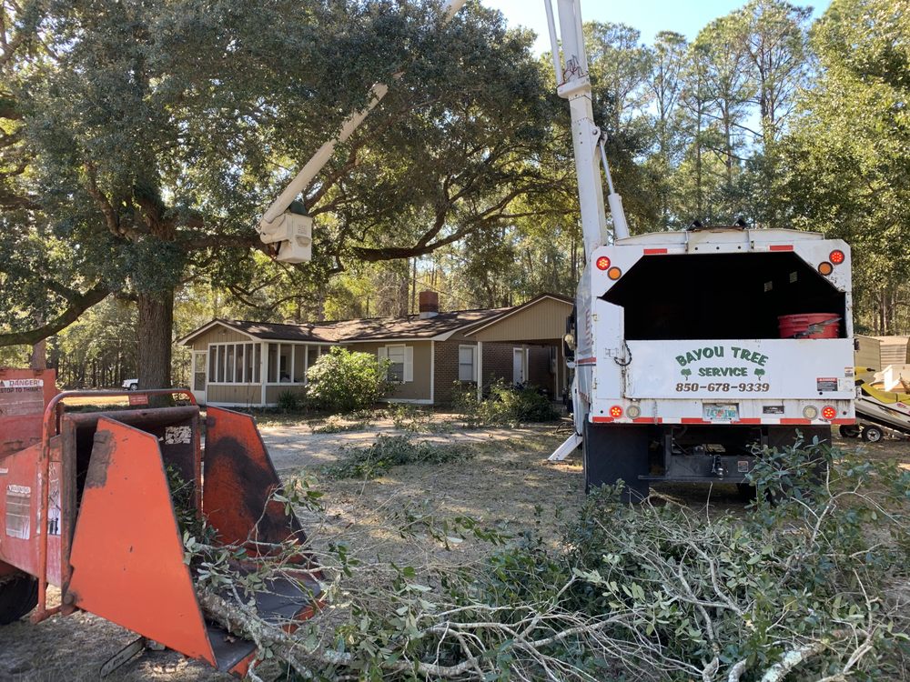 BAYOU TREE SERVICE Updated October 2024 Niceville, Florida Tree