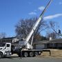 Photo of Tree Pro’s Tree Service and Landscaping
