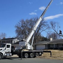 Tree Pro’s Tree Service and Landscaping
