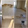 Photo of Renu Carpet & Tile Cleaning