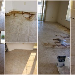 Renu Carpet & Tile Cleaning - Pets ruining your tile and grout?  Call, Renu Carpet and Tile Cleaning.  We can fix that!