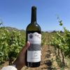 Reyes Winery gift card