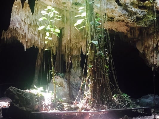 Cenote Chaak Tun by null