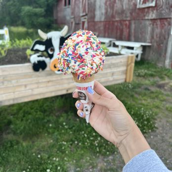 Collins Creamery - Ice cream cone with sprinkles - Ice Cream & Frozen Yogurt Near Me - Enfield, Connecticut Collins Creamery - Ice cream cone with sprinkles - Ice Cream & Frozen Yogurt Near Me - Enfield, Connecticut