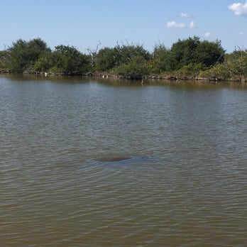 Cocoa Beach Dolphin Tours - Boating Near Me - Cocoa Beach, Florida Cocoa Beach Dolphin Tours - Boating Near Me - Cocoa Beach, Florida