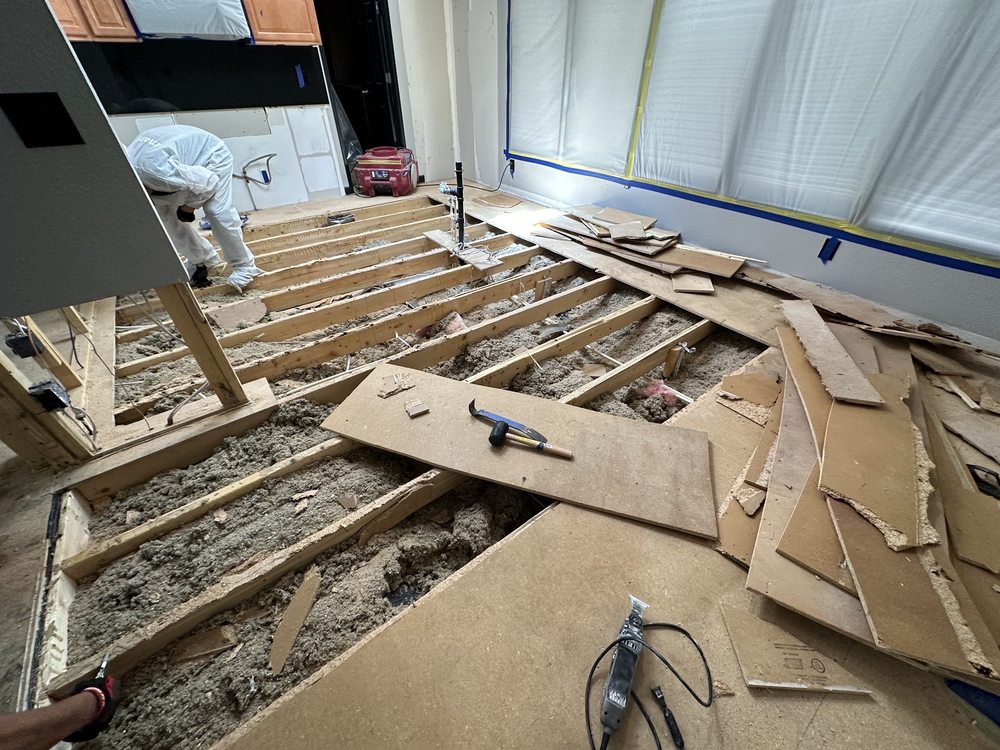 Slide of Mammoth Restoration Arizona