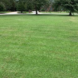 Action Landscaping