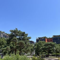 Jardin Jacob Kaplan - Parc Jacob Kaplas