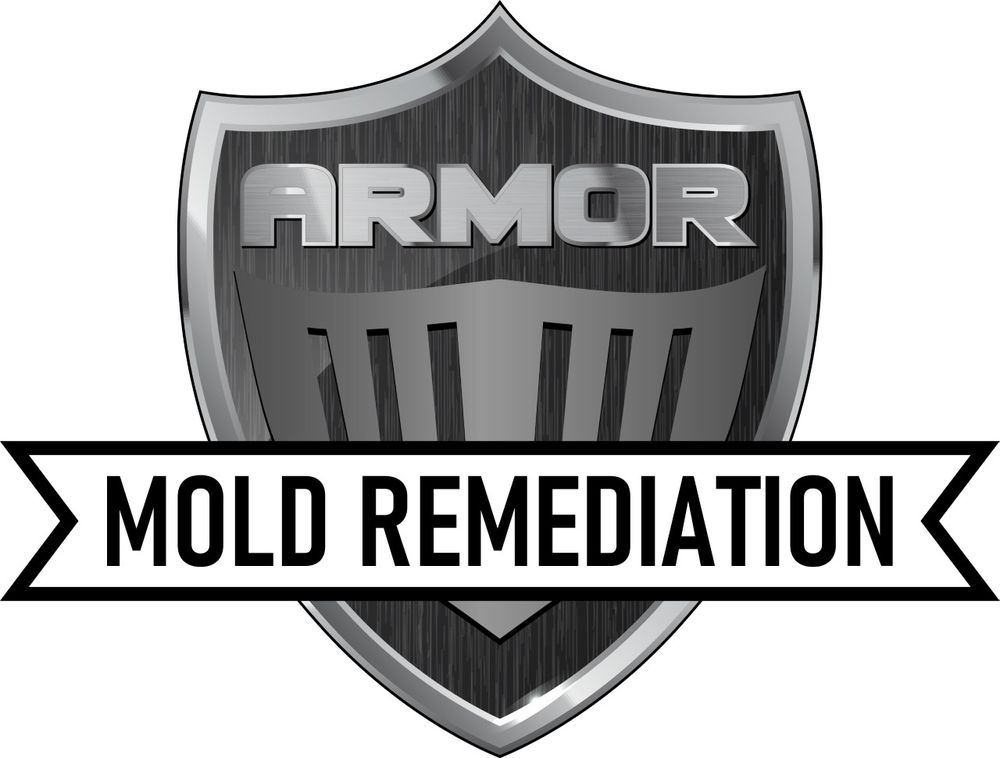 ARMOR MOLD REMEDIATION Request Consultation Ulster Park, New York