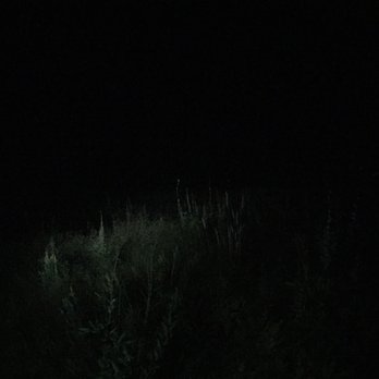 Calaveras Big Trees State Park - Open meadow at night time - Parks Near Me - Arnold, California