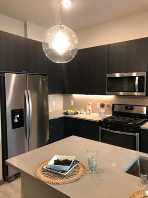 Green Leaf Lotus by null