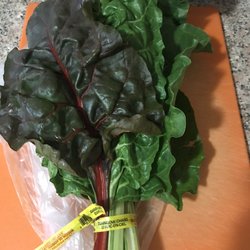 Lakeside Organic Gardens